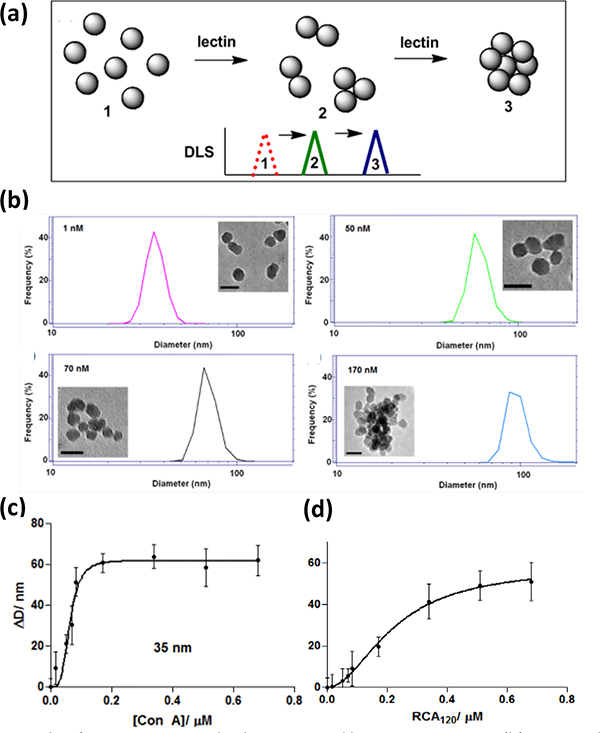 Fig. 10