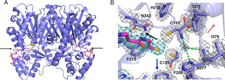 FIGURE 3.