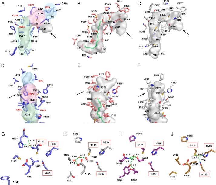 FIGURE 4.