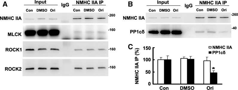 Fig. 5