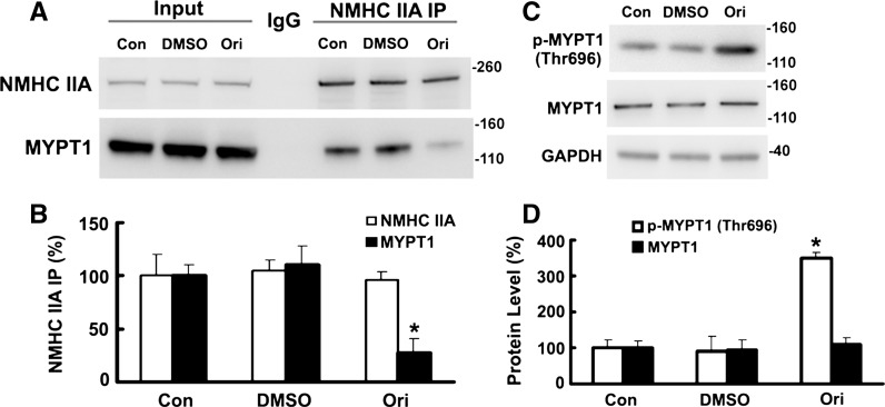 Fig. 6