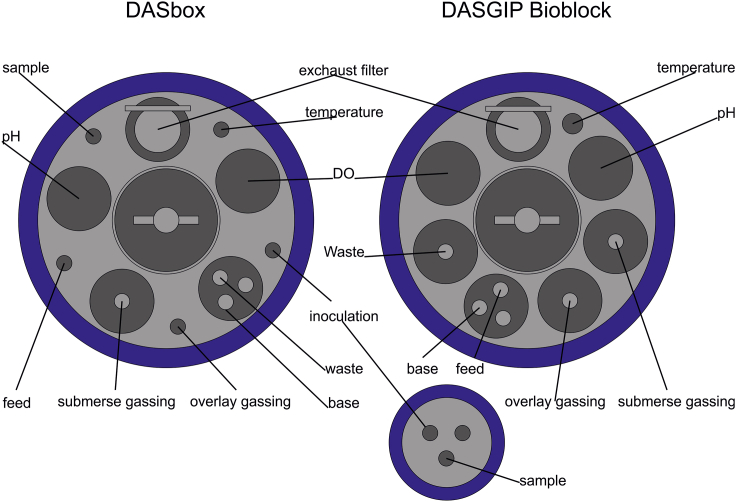 Figure 4