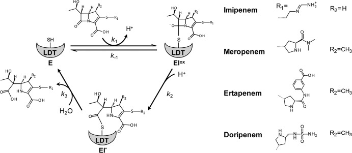 Fig 2