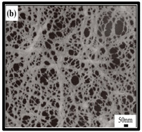 graphic file with name polymers-12-01759-i002.jpg