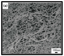 graphic file with name polymers-12-01759-i001.jpg