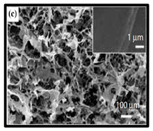 graphic file with name polymers-12-01759-i003.jpg