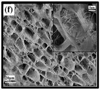 graphic file with name polymers-12-01759-i006.jpg