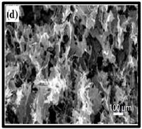 graphic file with name polymers-12-01759-i004.jpg