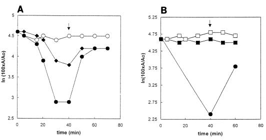 FIG. 9.