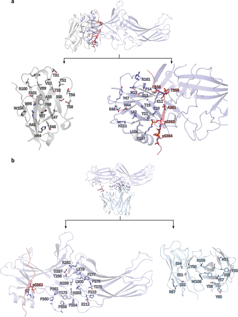 Extended Data Fig. 9: