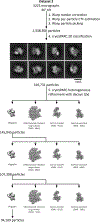 Extended Data Fig. 3: