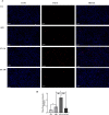 Fig 5