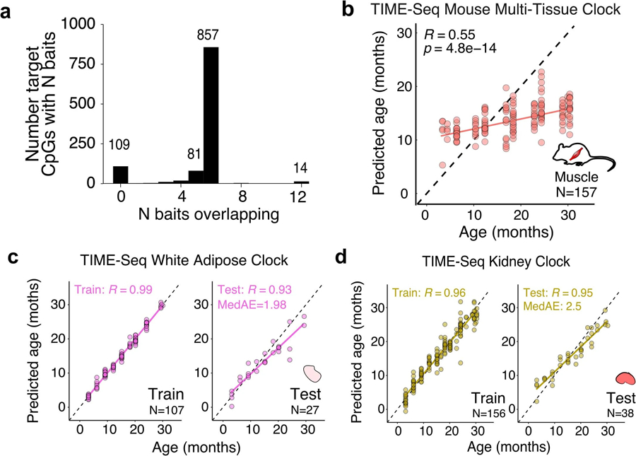 Extended Data Fig. 4 |