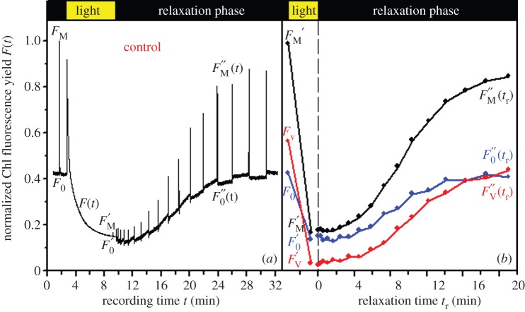 Figure 1.