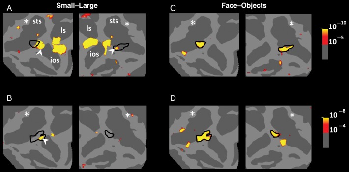 Figure 10.