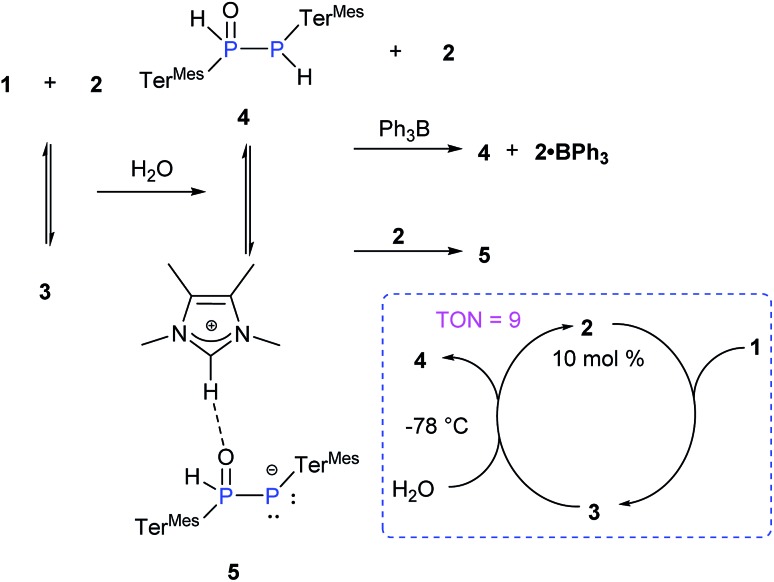 Scheme 3