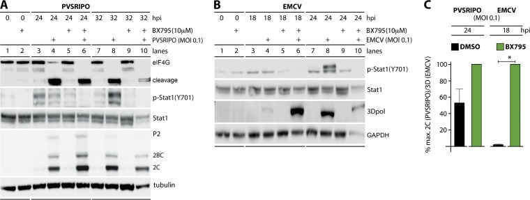 FIG 6