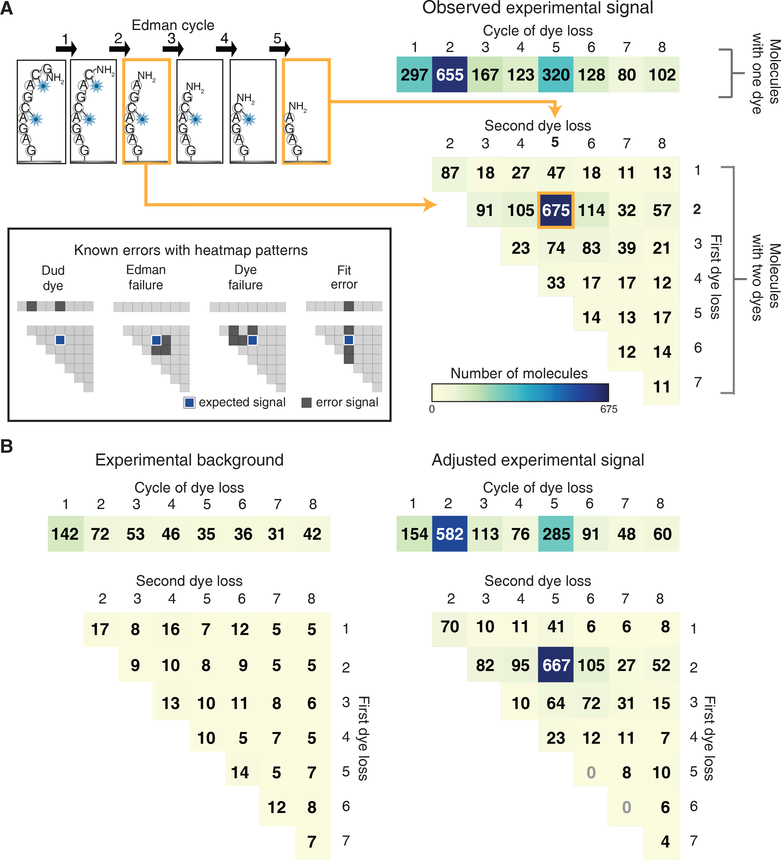 Figure 4: