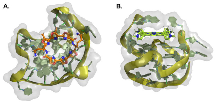 Figure 12