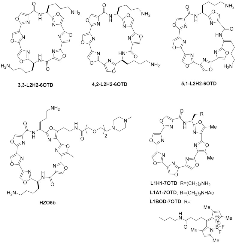 Figure 15