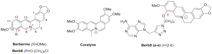 Figure 13