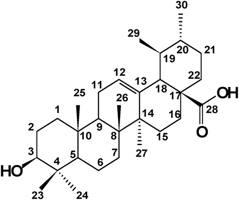 Fig. 1