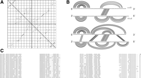 Fig. 9.