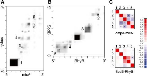 Fig. 10.