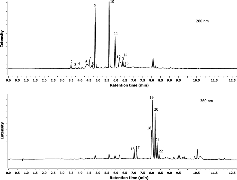 Fig. 2