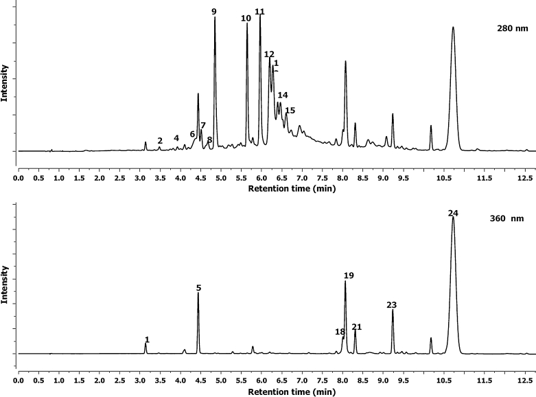 Fig. 1