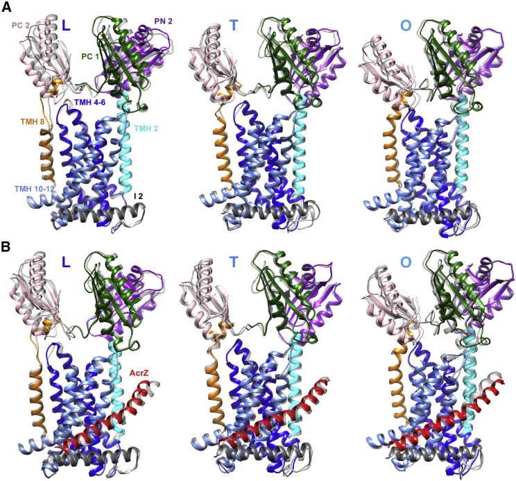 Figure 3