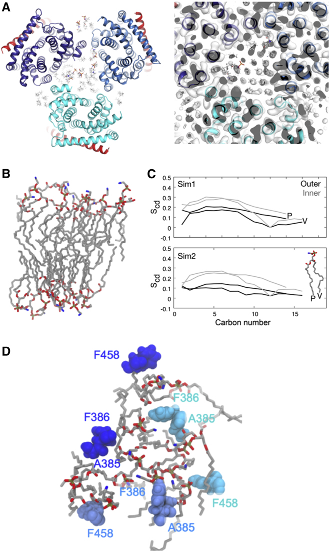 Figure 2