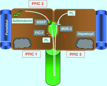 graphic file with name 978-3-642-24710-1_16_Fig4_HTML.jpg