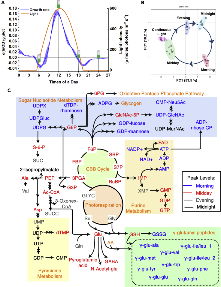 Figure 2