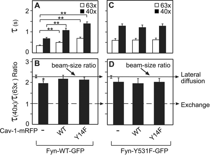 FIGURE 7: