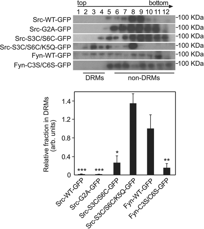 FIGURE 6: