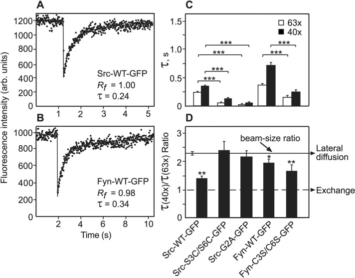 FIGURE 1: