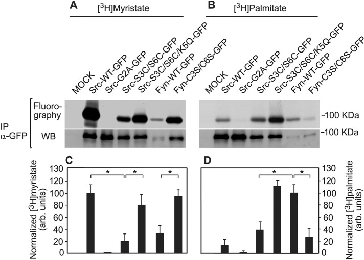 FIGURE 5: