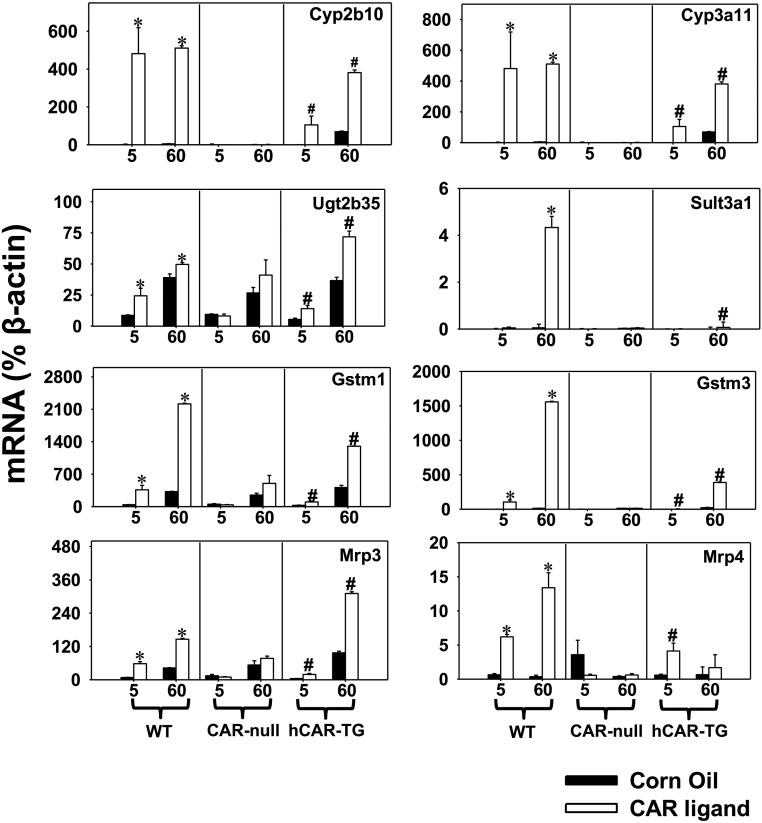 Fig. 9.