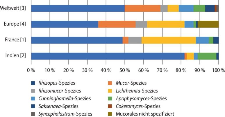 graphic file with name 15004_2023_9818_Fig3_HTML.jpg