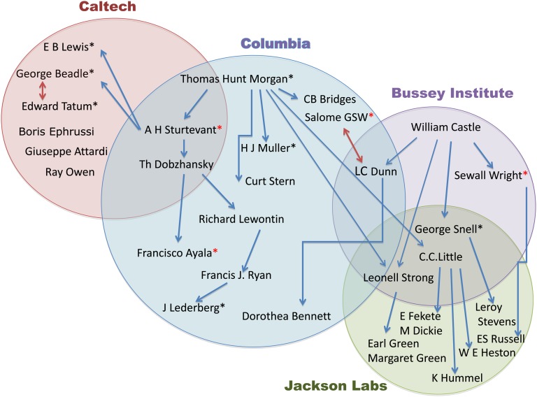 Figure 1 