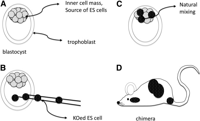 Figure 6 