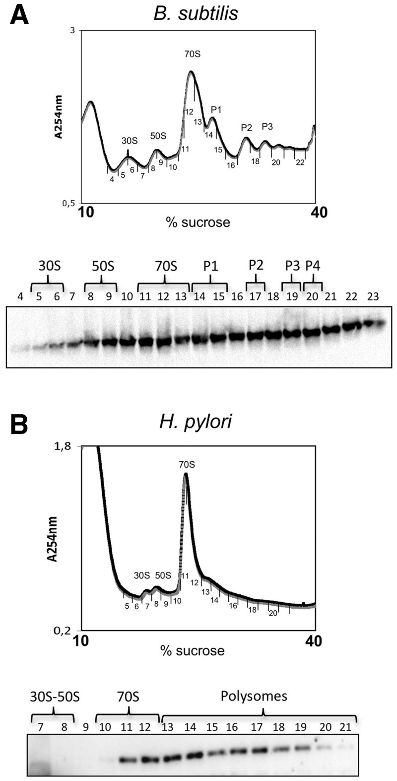 Figure 7.