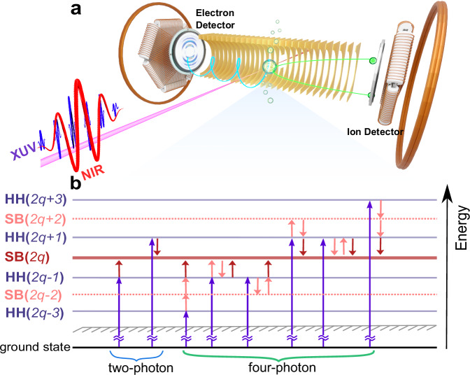 Fig. 1