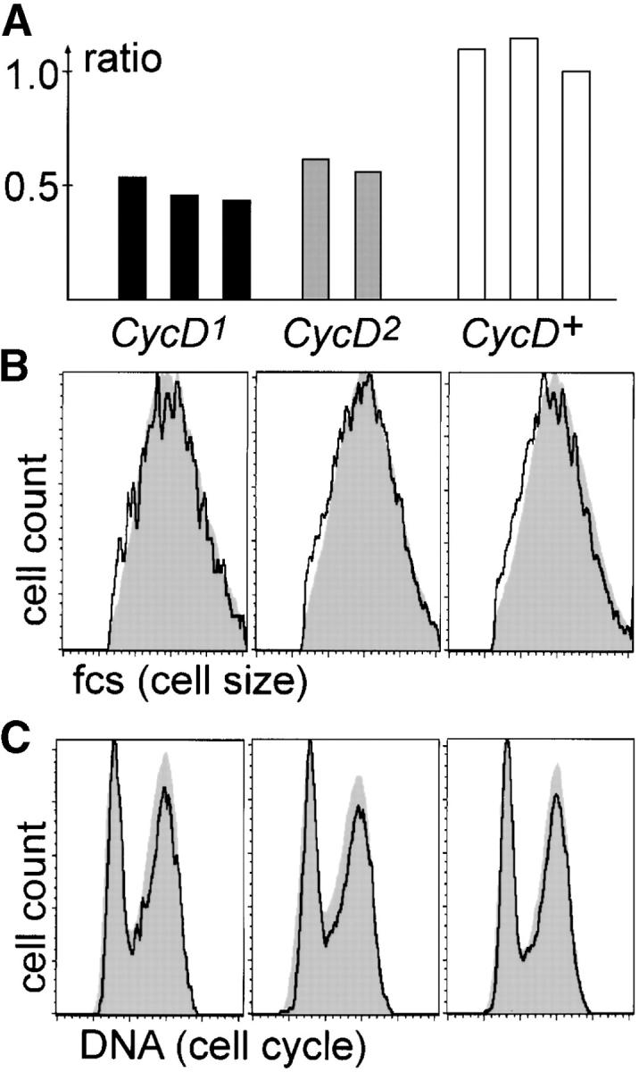 Figure 2.—