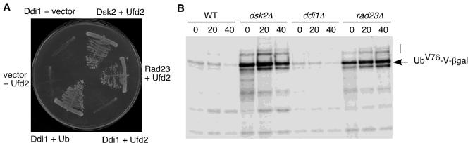 Figure 6.