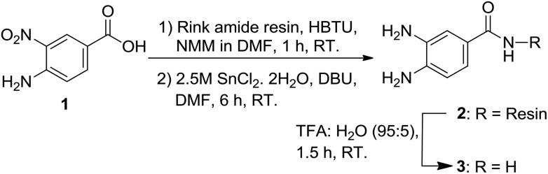 Scheme 1