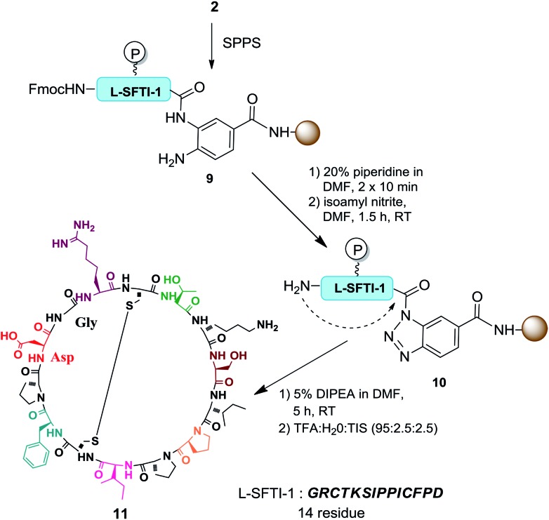 Scheme 2