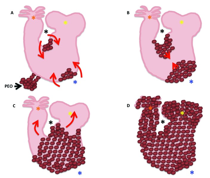 Figure 9.