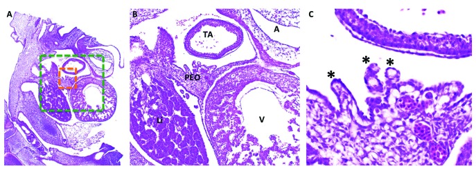 Figure 10.